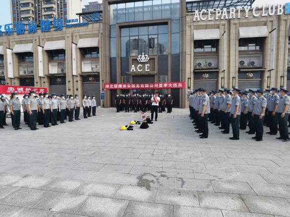 轉載：颯！酷！高溫下的襄陽街頭驚現(xiàn)一群“獵鷹”！